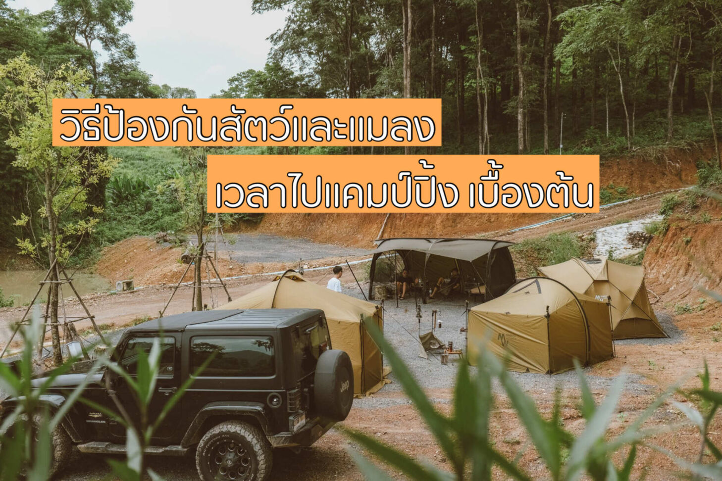 วิธีป้องกันสัตว์และแมลงเวลาไปแคมป์ปิ้งเบื้องต้น