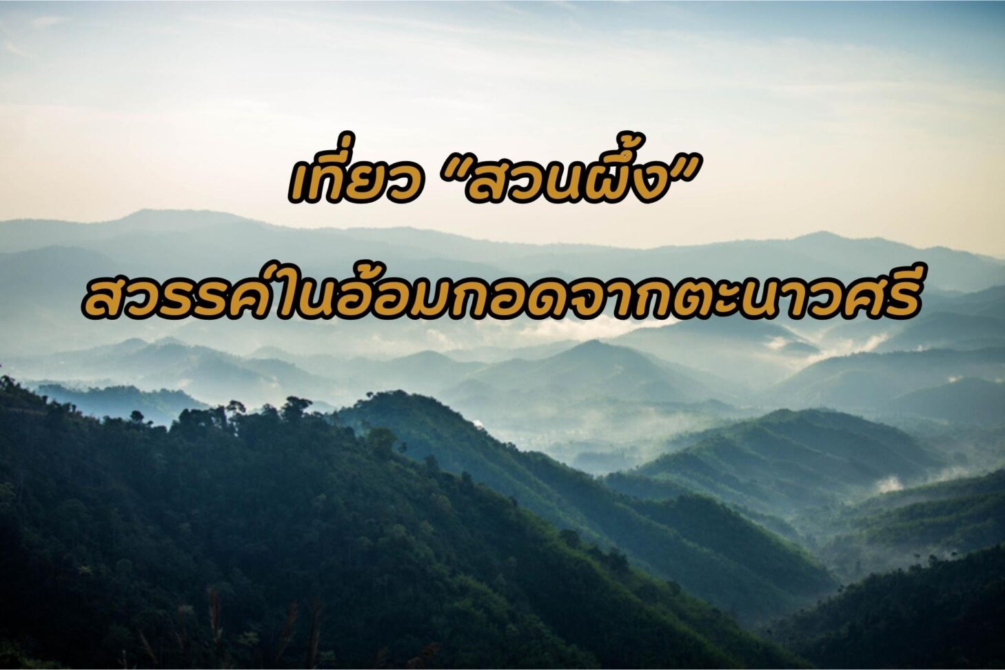 เที่ยว “สวนผึ้ง” สวรรค์ในอ้อมกอดจากตะนาวศรี