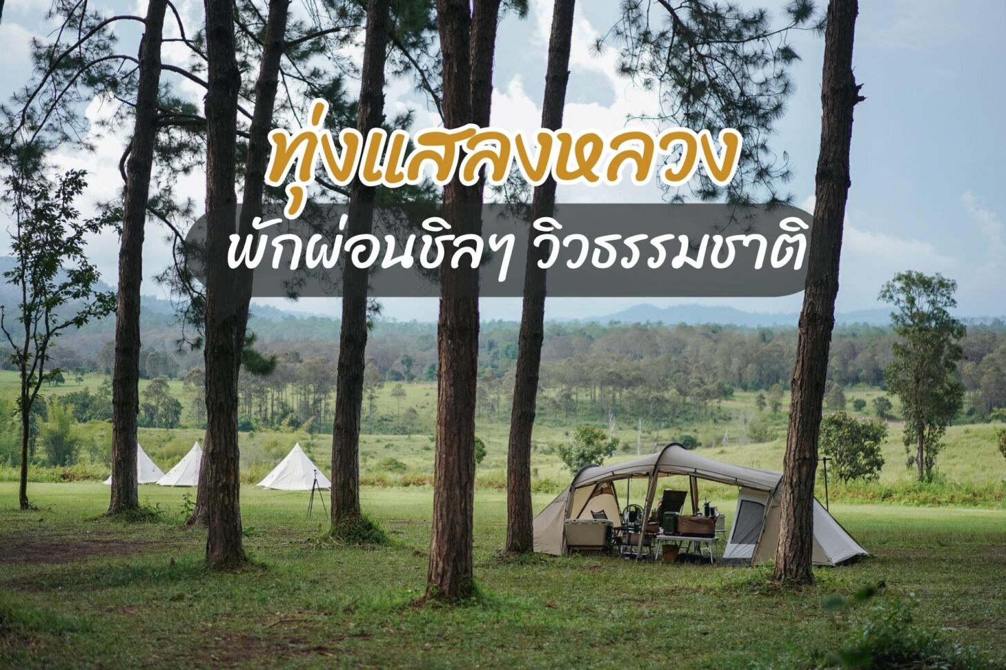 ทุ่งแสลงหลวง พักผ่อนชิลๆ กับวิวธรรมชาติ