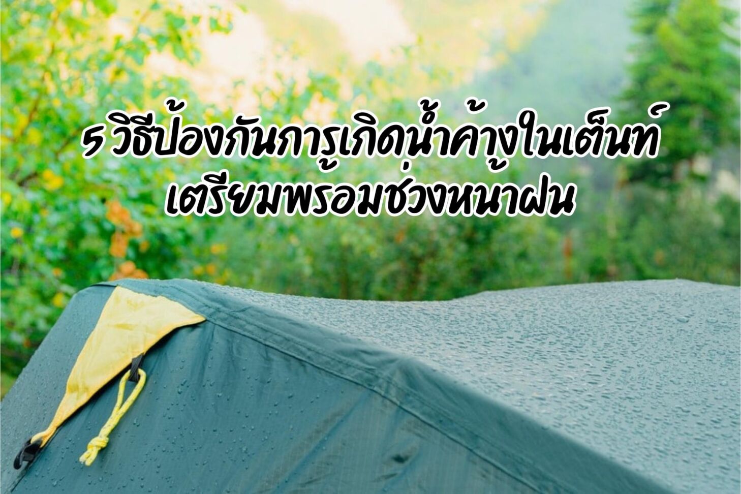 5 วิธีป้องกันการเกิดน้ำค้างในเต็นท์ เตรียมพร้อมช่วงหน้าฝน